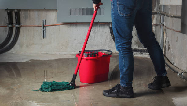 Best Water damage contractors near me  in Scandia, MN