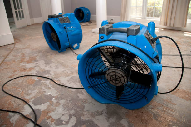 Best Professional water damage repair  in Scandia, MN