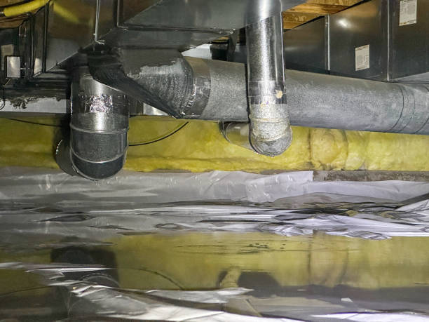 Scandia, MN Water damage restoration Pros