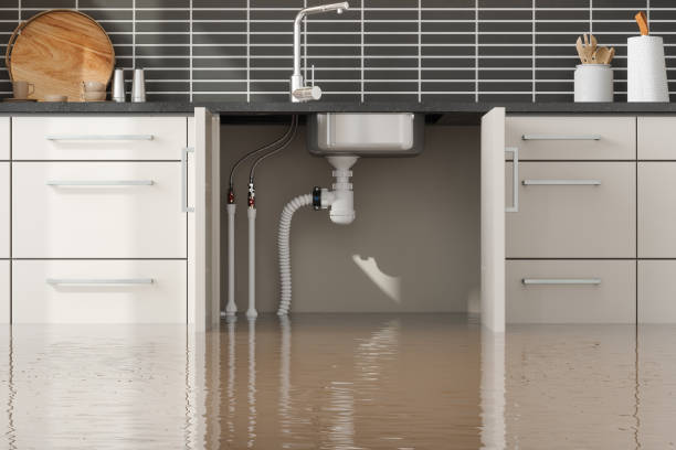 Best Water damage restoration near me  in Scandia, MN