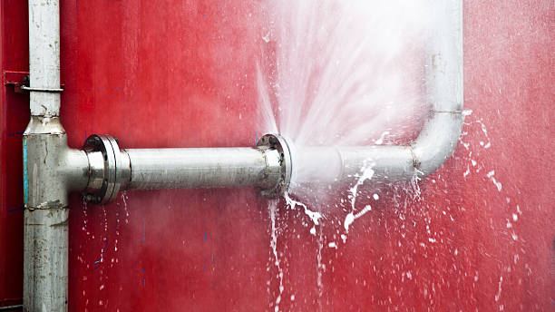 Best Local water damage restoration  in Scandia, MN